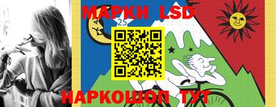 кокс Донской