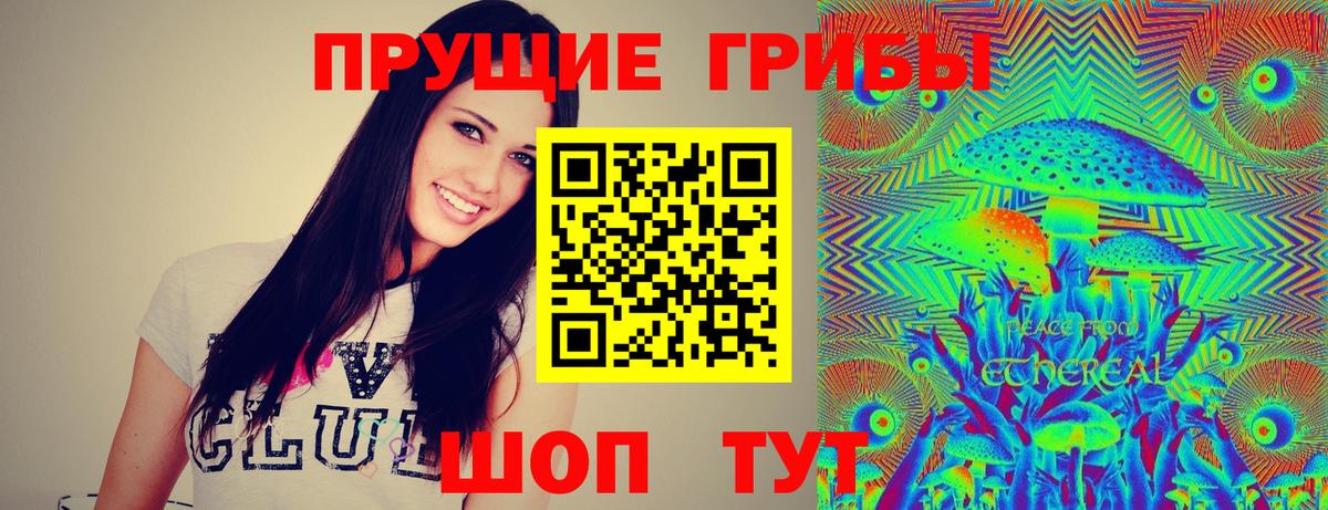 Псилоцибиновые грибы Psilocybine cubensis  Вход с VPN  Майкоп 